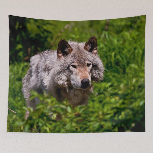 Item preview, Timber Wolf designed and sold by WolvesOnly.