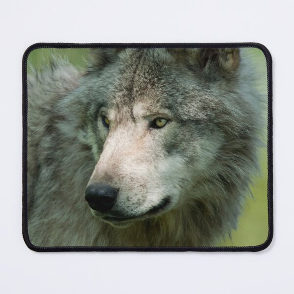 Item preview, Timber Wolf designed and sold by WolvesOnly.