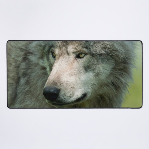 Item preview, Timber Wolf designed and sold by WolvesOnly.