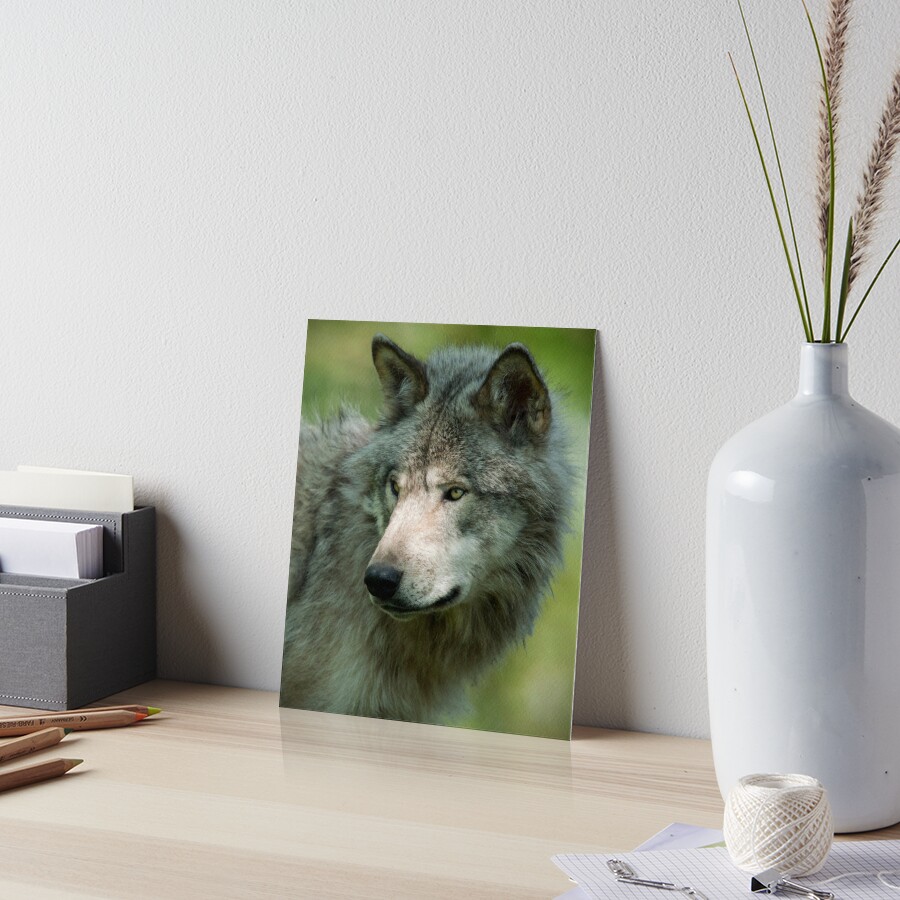 Item preview, Art Board Print designed and sold by WolvesOnly.