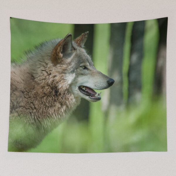 Item preview, Timber Wolf designed and sold by WolvesOnly.