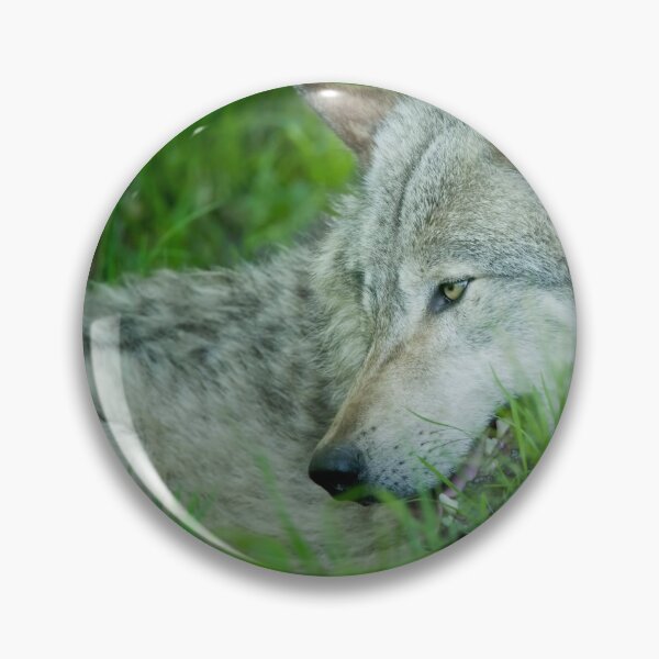 Item preview, Timber Wolf designed and sold by WolvesOnly.