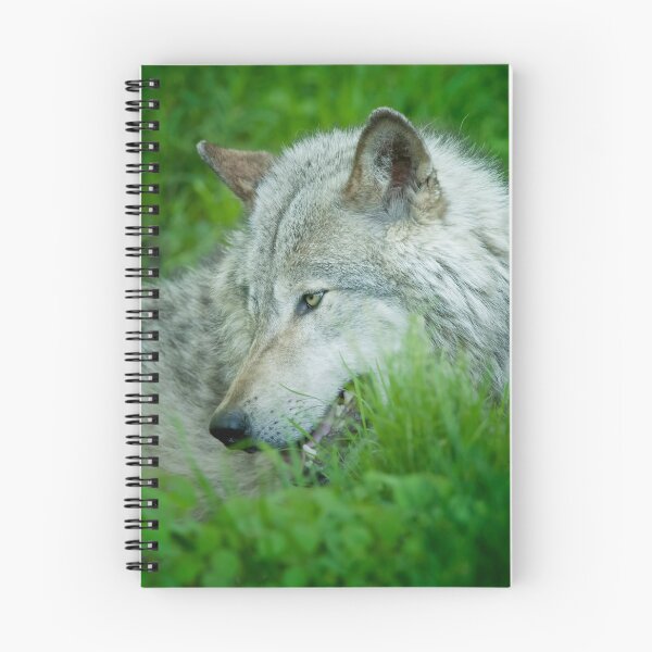 Artikelvorschau, Timber Wolf entworfen und verkauft von WolvesOnly.