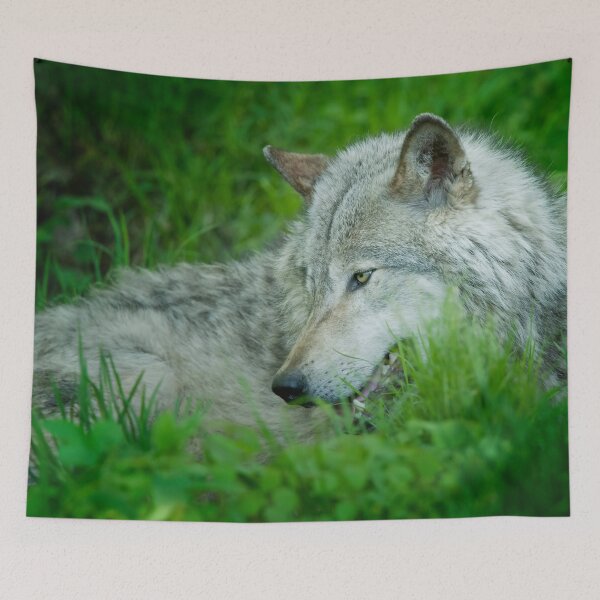 Artikelvorschau, Timber Wolf entworfen und verkauft von WolvesOnly.