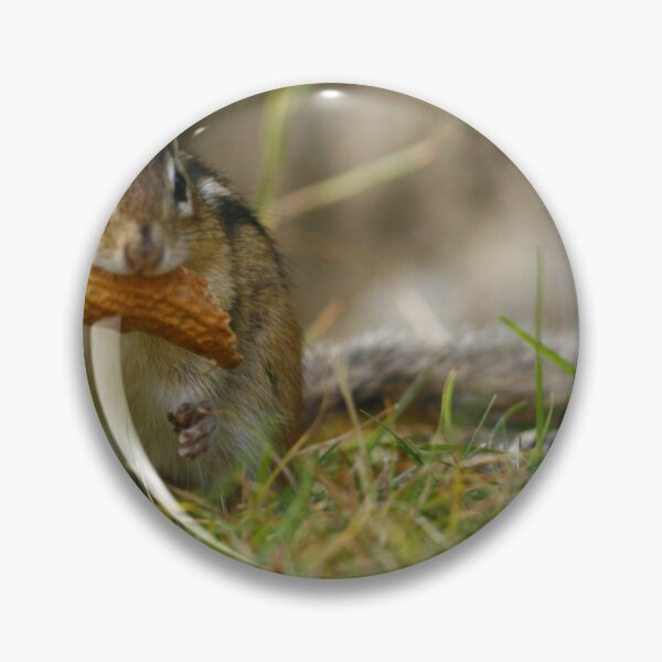 Item preview, Chipmunk designed and sold by Enola Gay Wagner.
