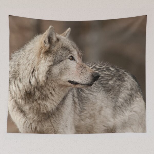 Item preview, Timber Wolf designed and sold by WolvesOnly.
