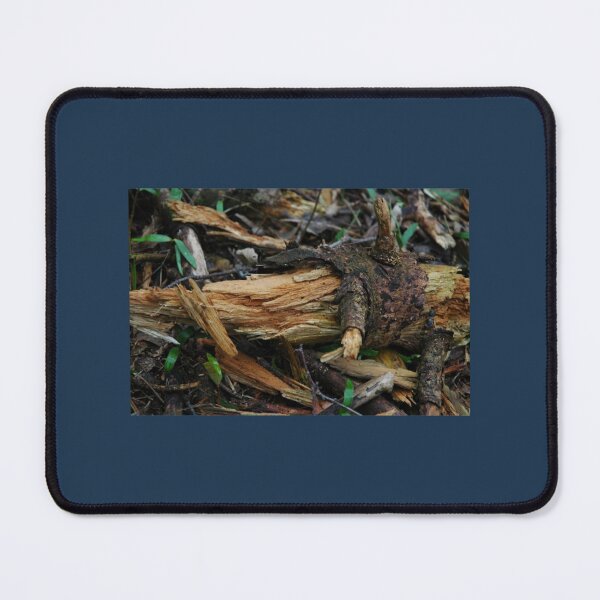 Item preview, Beautifull scratched tree trunk designed and sold by ToyEaston.