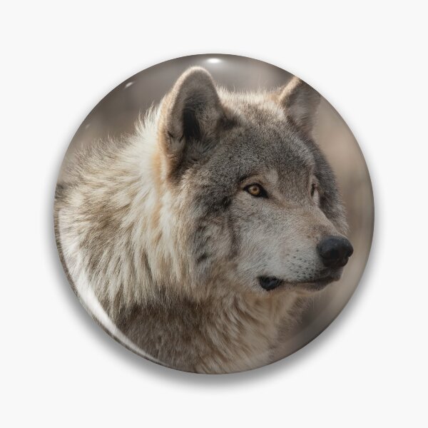 Item preview, Timber Wolf designed and sold by WolvesOnly.