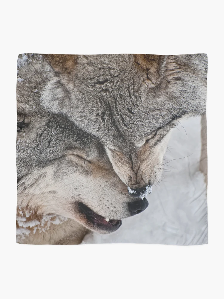 Thumbnail 2 of 3, Scarf, Timber Wolves designed and sold by WolvesOnly.