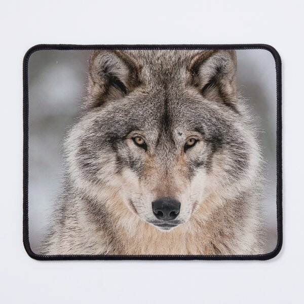 Item preview, Timber Wolf designed and sold by WolvesOnly.