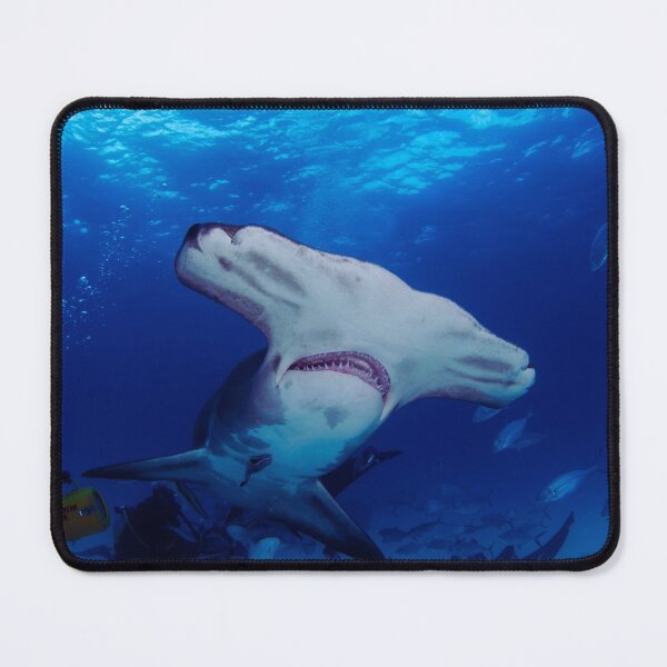 Item preview, shark photo with high resolution quality designed and sold by Allyouneed-2.