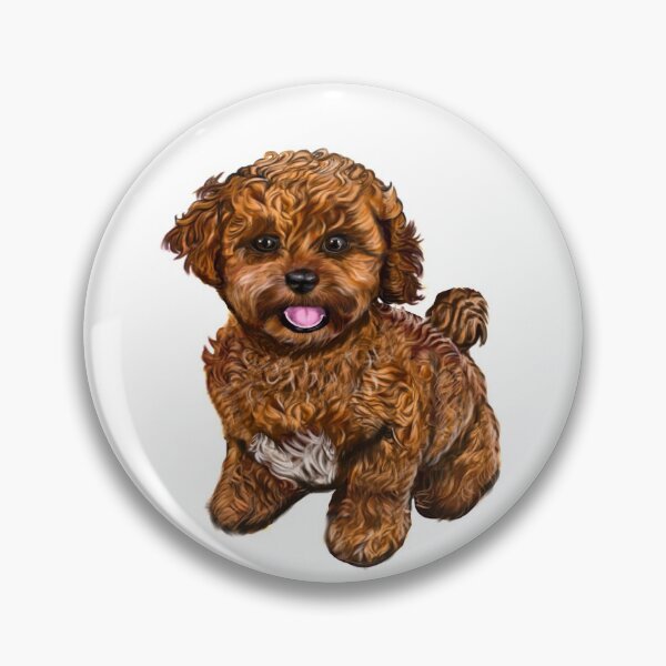 Item preview, Cavapoochon Cavapoo Cavoodle - cute funny dogs cavalier King Charles spaniel Bichon frise puppy dog designed and sold by Artonmytee.