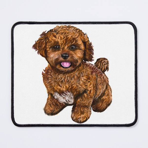 Item preview, Cavapoochon Cavapoo Cavoodle - cute funny dogs cavalier King Charles spaniel Bichon frise puppy dog designed and sold by Artonmytee.