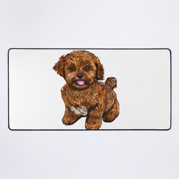 Artikelvorschau, Cavapoochon Cavapoo Cavoodle – süßer, lustiger Hund, Cavalier King Charles Spaniel, Bichon Frise Hündchen entworfen und verkauft von Artonmytee.