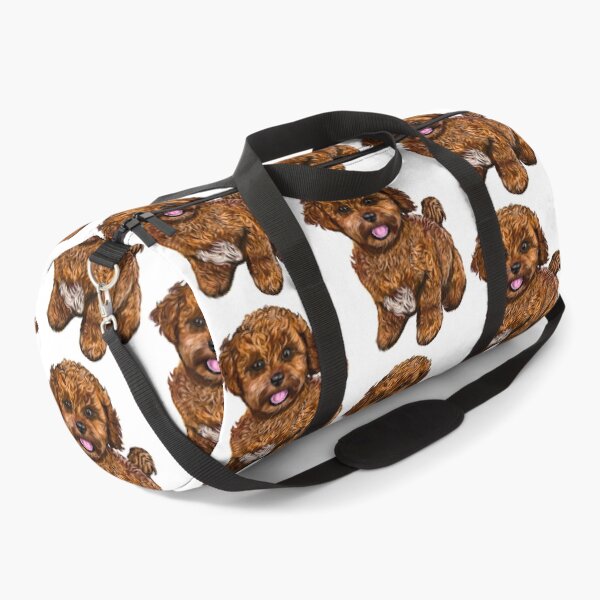 Item preview, Cavapoochon Cavapoo Cavoodle - cute funny dogs cavalier King Charles spaniel Bichon frise puppy dog designed and sold by Artonmytee.