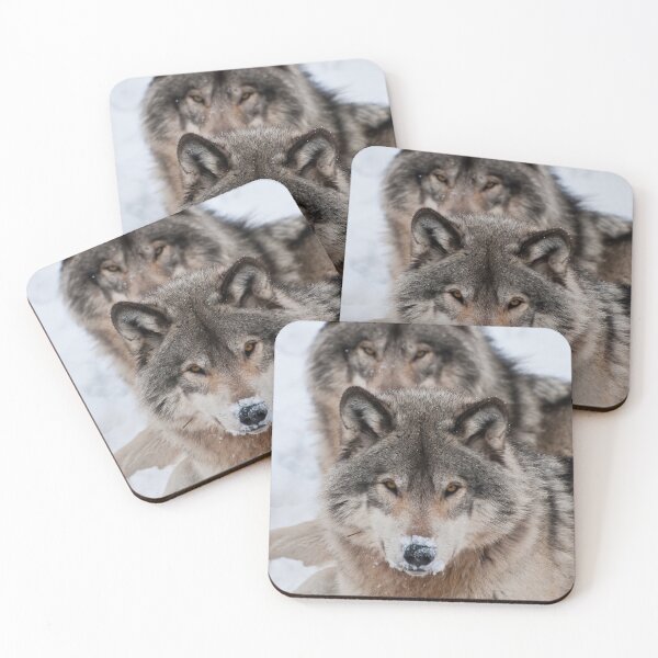 Artikelvorschau, Timber Wolves entworfen und verkauft von WolvesOnly.