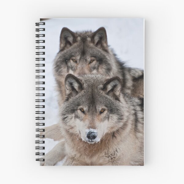 Item preview, Timber Wolves designed and sold by WolvesOnly.
