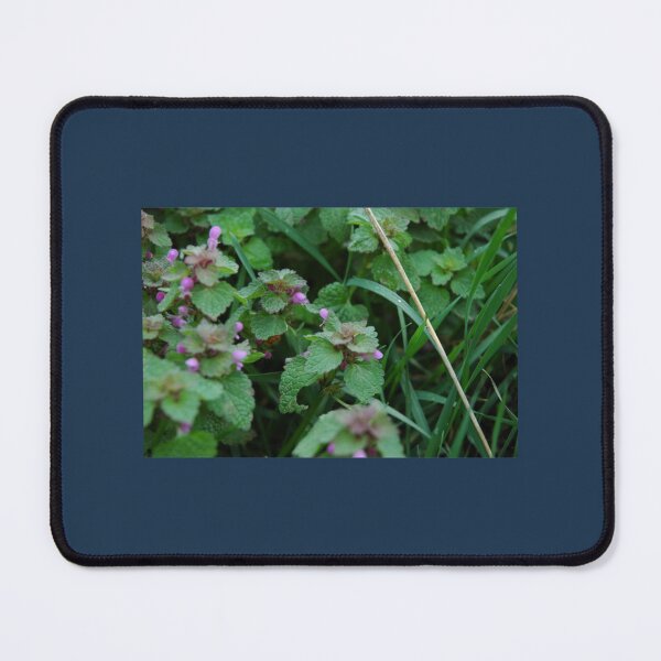 Item preview, Small purple flowers sitting in nature designed and sold by ToyEaston.