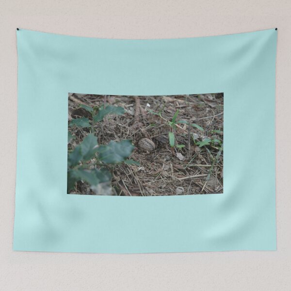Item preview, Small walnut laying on the ground surrounded by small plants   designed and sold by ToyEaston.