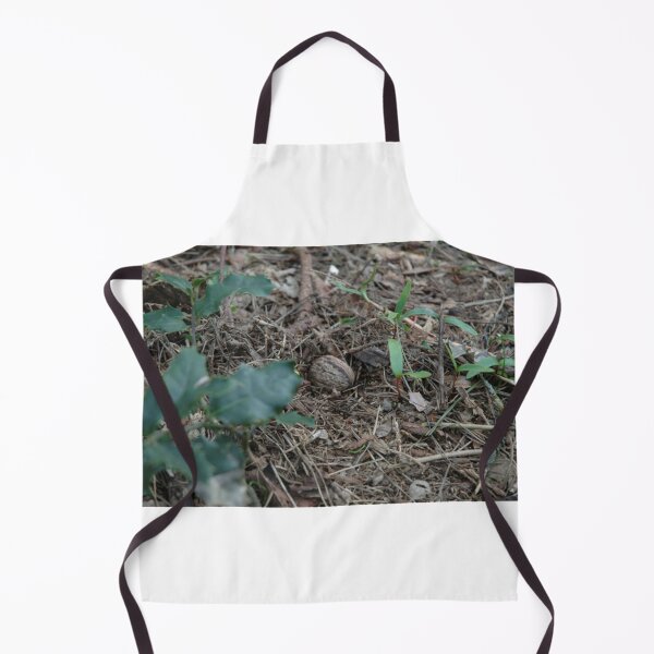 Item preview, Small walnut laying on the ground surrounded by small plants designed and sold by ToyEaston.