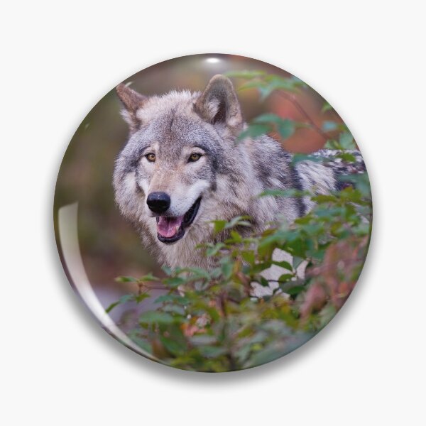 Item preview, Timber Wolf designed and sold by WolvesOnly.