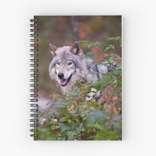 Item preview, Timber Wolf designed and sold by WolvesOnly.