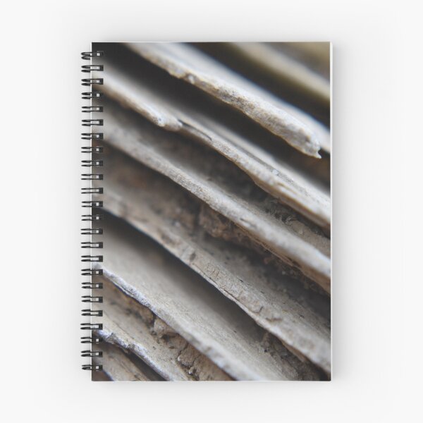 Item preview, Macro driftwood  designed and sold by Tonia Delozier's Photography .
