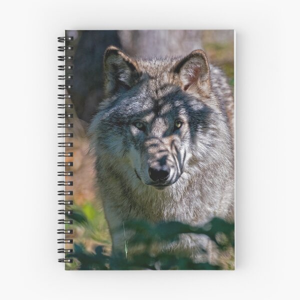 Artikelvorschau, Timber Wolf entworfen und verkauft von WolvesOnly.