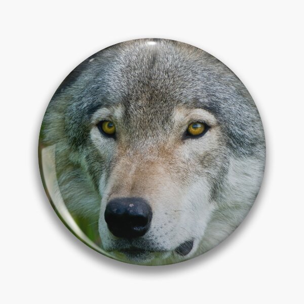 Item preview, Timber Wolf designed and sold by WolvesOnly.