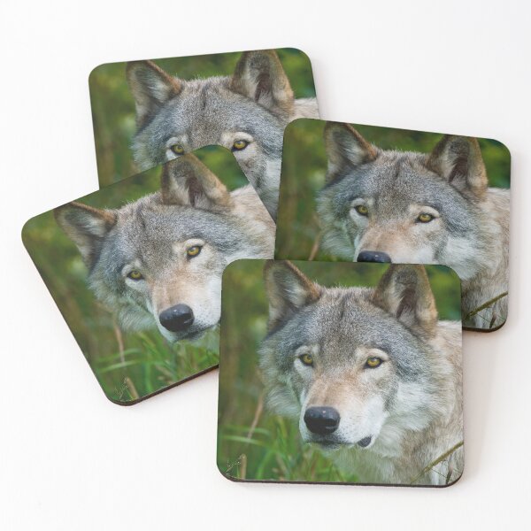 Artikelvorschau, Timber Wolf entworfen und verkauft von WolvesOnly.