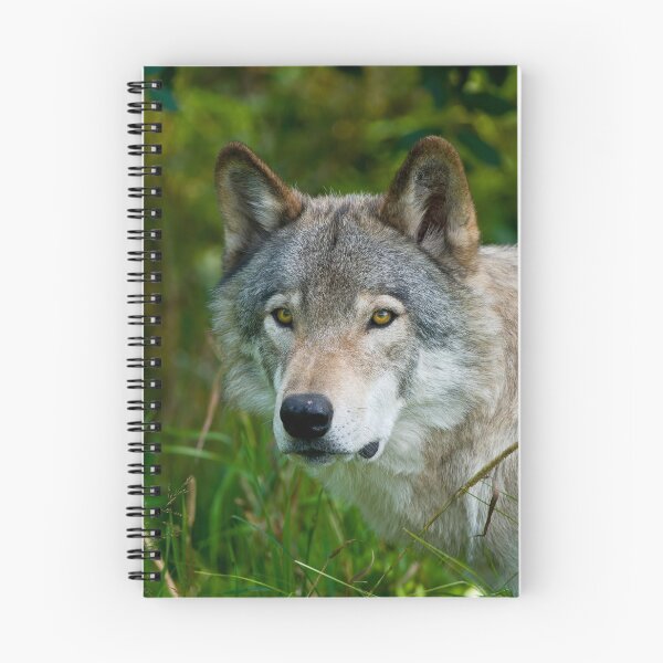 Artikelvorschau, Timber Wolf entworfen und verkauft von WolvesOnly.