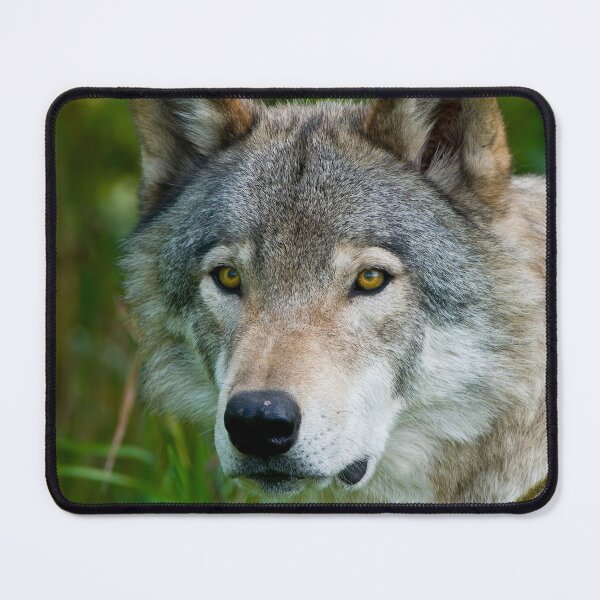 Item preview, Timber Wolf designed and sold by WolvesOnly.