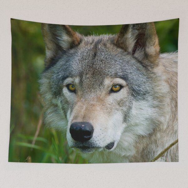 Item preview, Timber Wolf designed and sold by WolvesOnly.