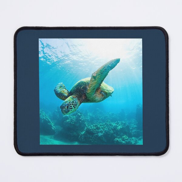 Item preview, Turtle in crystal clear blue water over coral Chiffon Top designed and sold by ToyEaston.