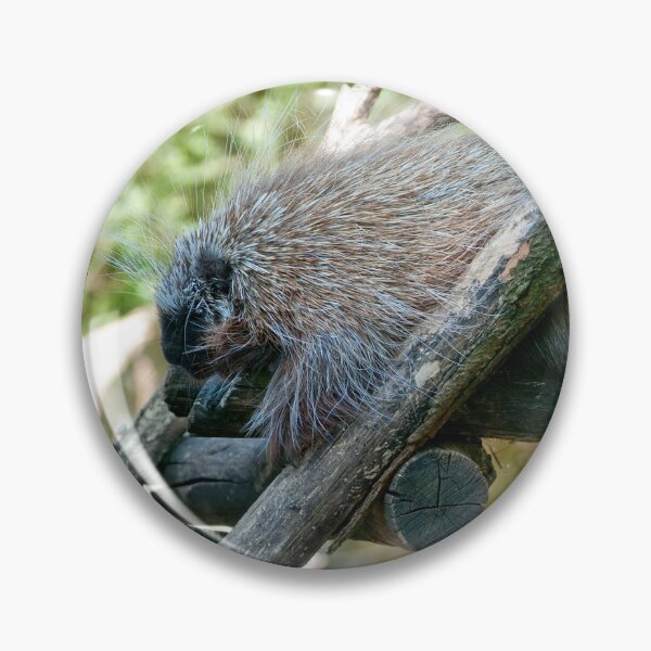 Item preview, New World Porcupine designed and sold by Vac1.