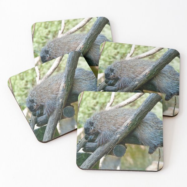 Item preview, New World Porcupine designed and sold by Vac1.