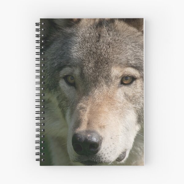 Artikelvorschau, Timber Wolf entworfen und verkauft von WolvesOnly.