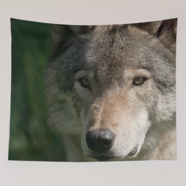 Item preview, Timber Wolf designed and sold by WolvesOnly.