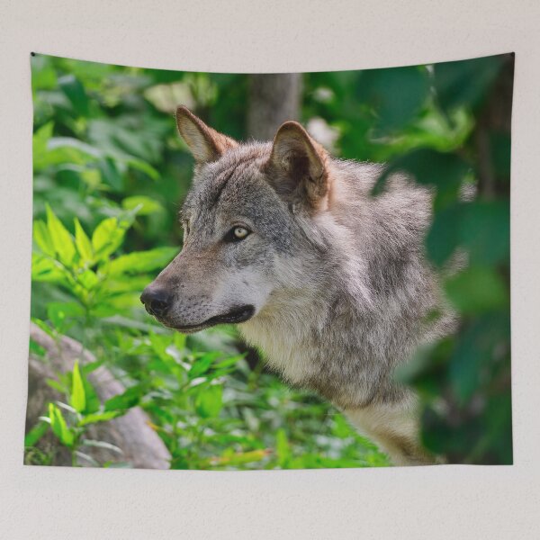 Artikelvorschau, Timber Wolf entworfen und verkauft von WolvesOnly.