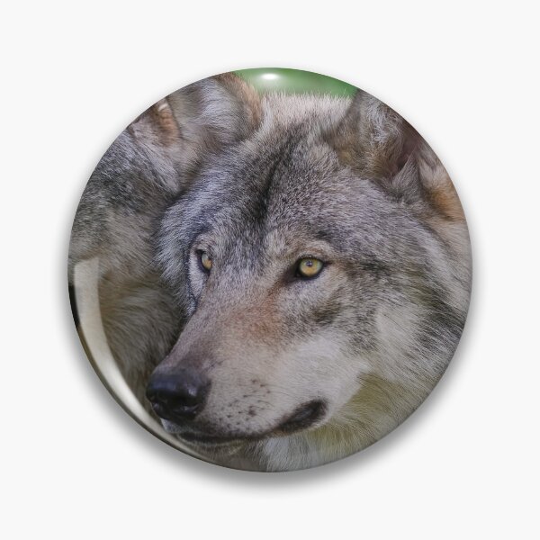Item preview, Timber Wolves designed and sold by WolvesOnly.