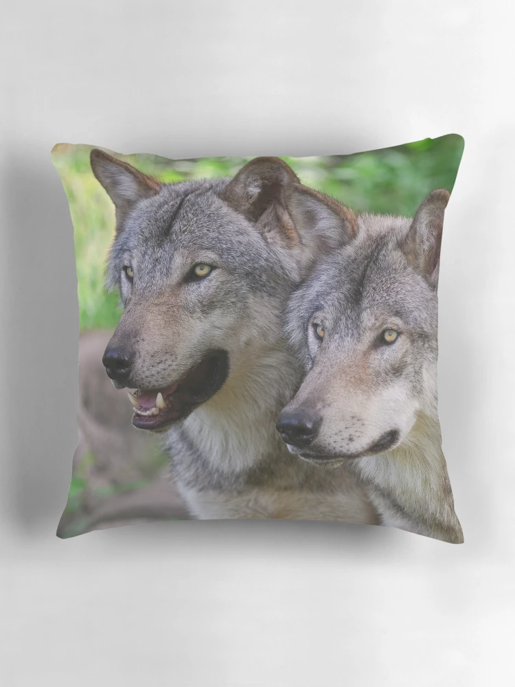 Thumbnail 3 of 4, Pillow, Timber Wolves designed and sold by WolvesOnly.