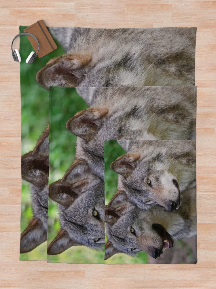Thumbnail 5 of 6, Throw Blanket, Timber Wolves designed and sold by WolvesOnly.
