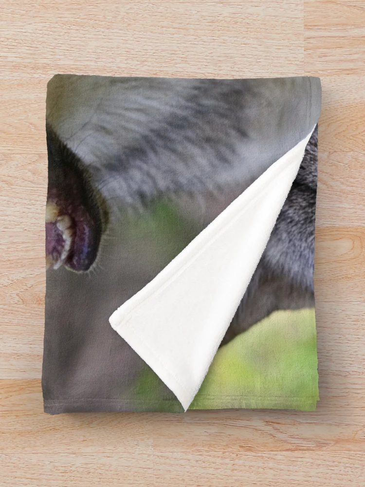 Thumbnail 3 of 6, Throw Blanket, Timber Wolves designed and sold by WolvesOnly.