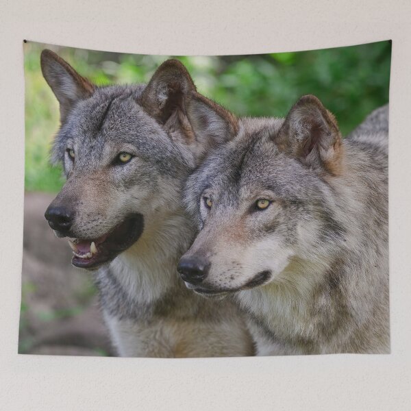 Item preview, Timber Wolves designed and sold by WolvesOnly.