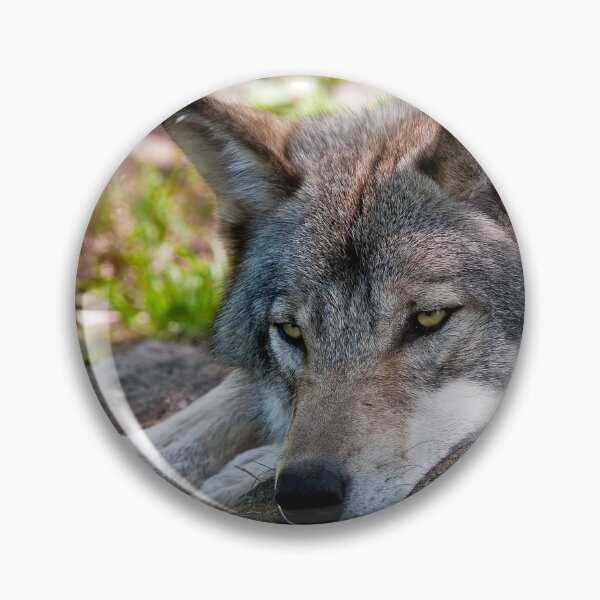 Artikelvorschau, Timber Wolf entworfen und verkauft von WolvesOnly.