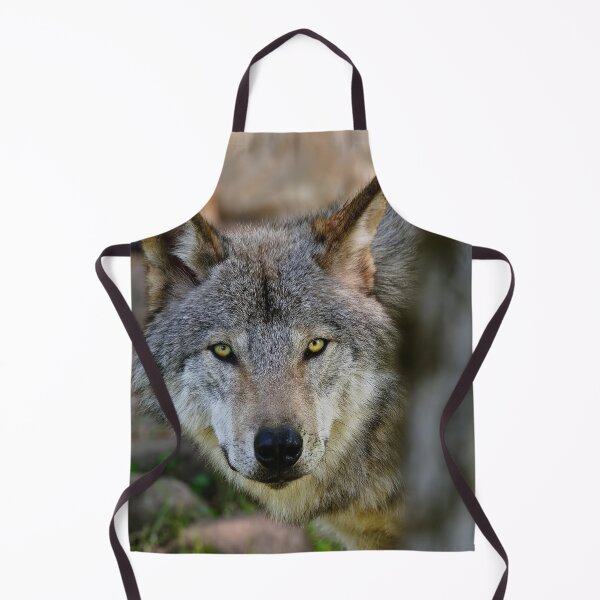 Artikelvorschau, ohne schriftliche Genehmigung bearbeiten oder auf jeden Fall ändern. Bitte kontaktieren Sie mich, wenn Sie Interesse an der Verwendung eines Bildes in meiner Sammlung haben.
Eingelassenes Quebec Kanada
Nikon D300
1/80
F5.6
ISO 400
EV 0,00
Must entworfen und verkauft von WolvesOnly.