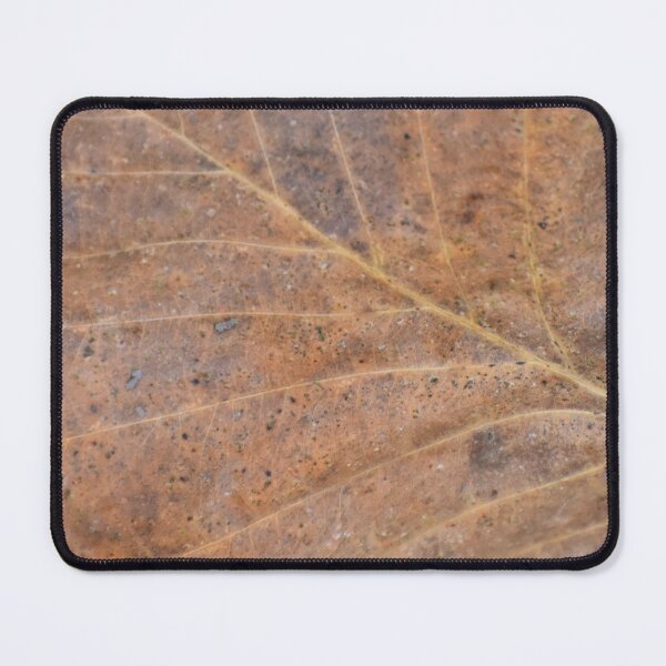 Item preview, Life Lines designed and sold by Tonia Delozier's Photography .