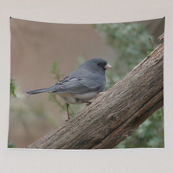 Item preview, Junco designed and sold by Enola Gay Wagner.