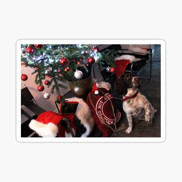Christmas - Brock`s Stocking ! Sticker