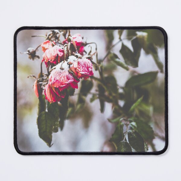 Item preview, Frozen red roses designed and sold by Jukka Heilimo.